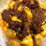 A plate topped with beef and cheesy fries.